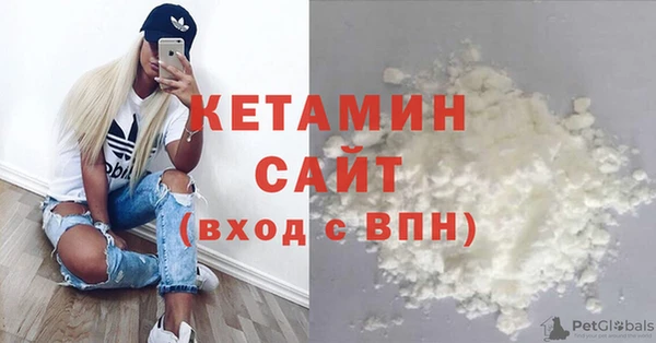 ГАЛЛЮЦИНОГЕННЫЕ ГРИБЫ Горно-Алтайск