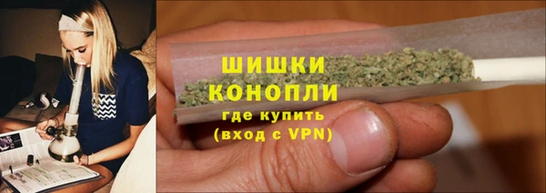 ГАЛЛЮЦИНОГЕННЫЕ ГРИБЫ Горно-Алтайск