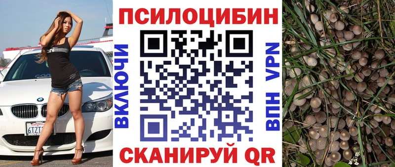 Галлюциногенные грибы прущие грибы  Обнинск 